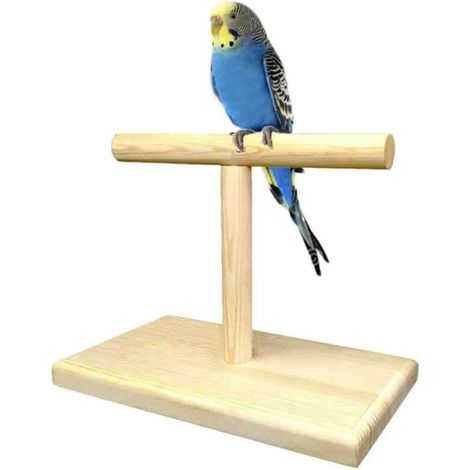 Lot de 2 perchoirs pour oiseaux, perchoirs pour perroquets, perchoirs pour perruches, perchoirs pour jeux d'oiseaux, perchoir pour calopsittes, pour oiseaux de petite et moyenne taille, perroquets, ca (1/5)