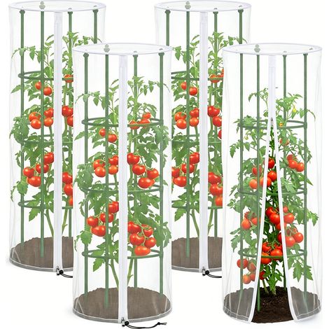 Cage de protection anti-insectes pour tomates en filet maille 65, housse à fermeture éclair, Composition : 4pcsforme ronde1504646, Couleur : transparent (1/5)