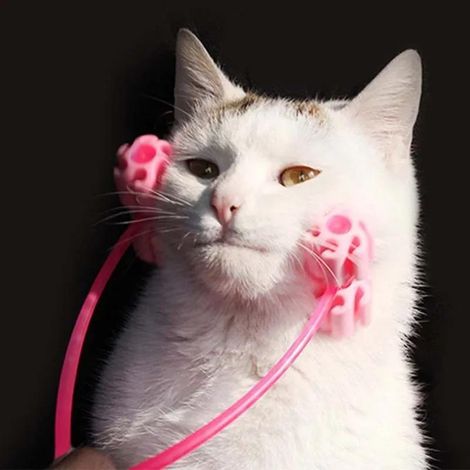 Rouleau de massage pour le visage, brosse de soin pour animaux, lot de 4.