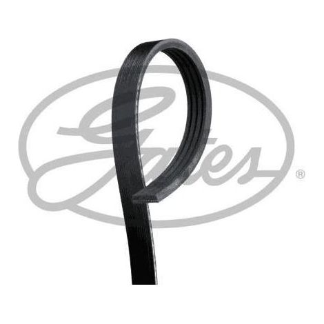 Courroie trapézoïdale à nervures Gates 4PK803 ALPINA 0019930796 0019934496