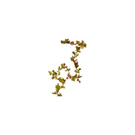 Lanterne en rotin à feuilles vertes - Fonction piles, 5 m, 50 LED [lumière chaude] - Rose + Rouge rose, fil de cuivre (1/5)