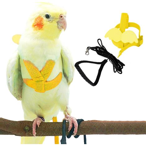 Harnais et laisse pour perroquet pour animal domestique, design d'entraînement réglable, anti-morsure, keck, mini ara et oiseaux de même taille (jaune) (1/5)