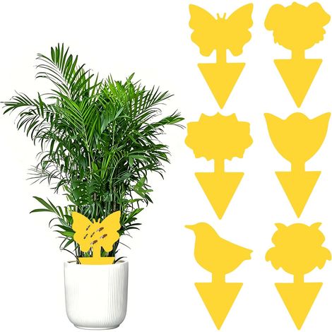 60 Pièges à Insectes, Colle Double-Face, 6 Motifs Décoratifs, pour Plantes Intérieur (1/5)