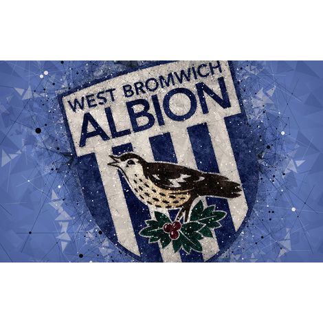 Papier peint panoramique Foot / Football - ALBION - 130 cm x 81 cm (1/2)