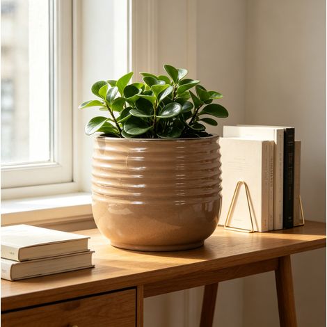 Pot de fleurs en céramique Ø26 cm brun clair brillant, rainuré, avec trous de drainage FLORAGRACE (1/5)