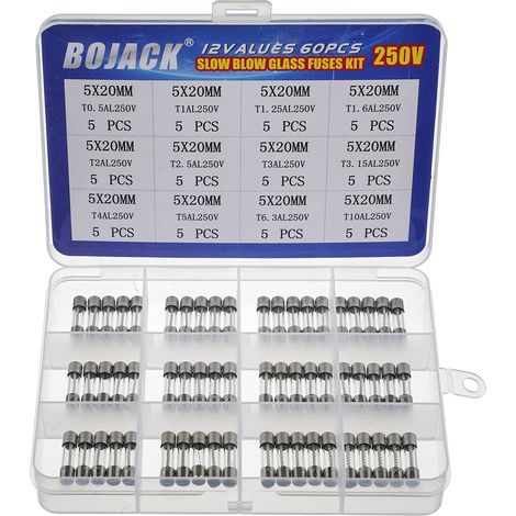 12 Values 60 Pieces Assortment of Glass Fuses 5 x 20 mm 250V T0.5A 1A 1.25A 1.6A 2A 2.5A 3A 3.15A 4A 5A 6.3A 10A Packaging in Transparent Plastic Box (1/5)