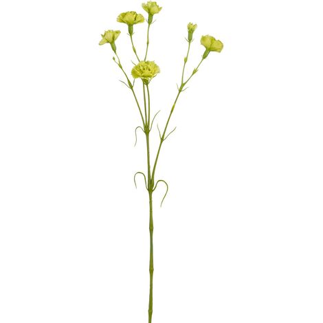 Mica Decorations Kunstpflanze Nelke grün 66 cm Pflanze