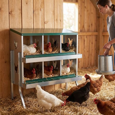 Randaco Caja para huevos, caja metálica de dos pisos con 6 compartimentos, equipada con guantes (1/5)