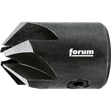 Forum Aufsteckversenker HS 6 mm (1/2)