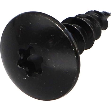 Vis Penture 6X25 Filetage total TORX T30 Acier zingué noir-1 pièce - Vis Penture 6X25 Filetage total TORX T30 Acier zingué noir-1 pièce (1/3)