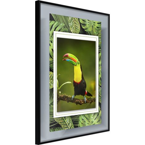 Affiche Murale Encadrée "Toucan in the Frame" 30 x 42 cm Noir