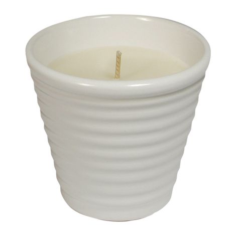 Vaso cerámico con citronela 820x800