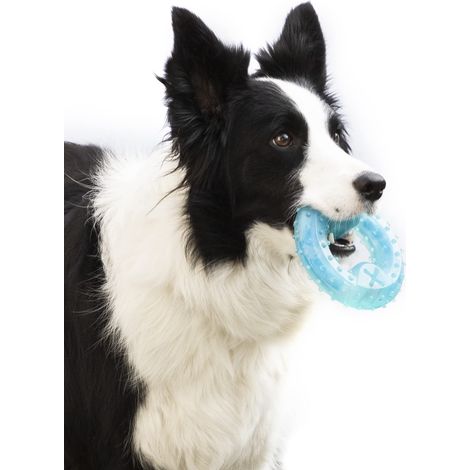 Jouet à mâcher pour chien 2 en 1, réfrigérant et rafraîchissant, avec rainure de récompense, pour une poussée dentaire saine, bleu, en caoutchouc thermoplastique
