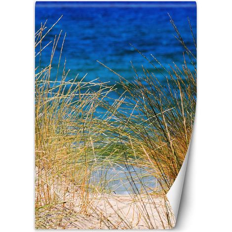 Papier peint Grandes herbes au bord de la mer 200x280 (1/5)
