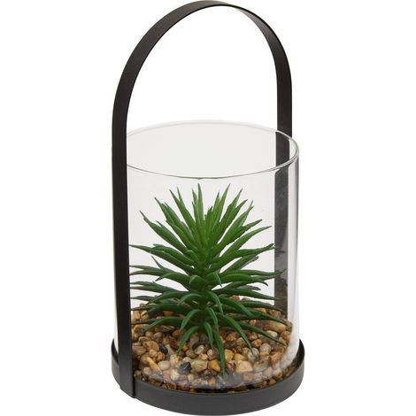 Terrario wilo 11x10cm - Atmosphera créateur d'intérieur (1/4)