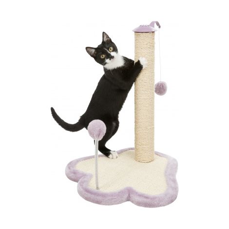 Patte griffoir TRIXIE Junior - Avec poteau - 50 cm - Natural et mauve (1/5)