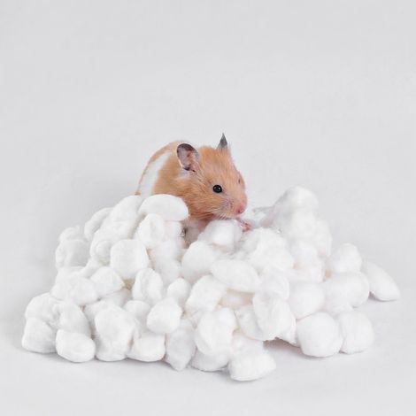 Coton dégraissé pour hamsters blanc 400 sachet 10 pc modèle 8 (1/5)