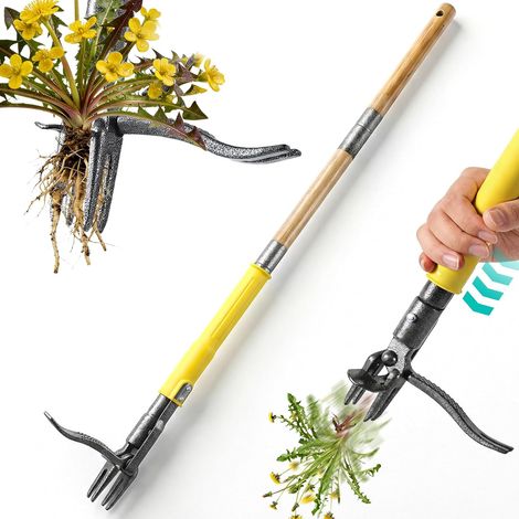 1 - Désherbeur Manuel - Arrache-Racines - Outil de Jardinage Debout avec Système d'Éjection et 4 Griffes - Pour Pelouse et Allées - Naturel - 109cm