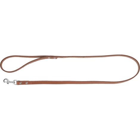 Laisse Longue Taupe, 200cm, 18mm (1/3)