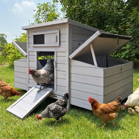 Grand Poulailler en Bois avec Double Pondoir Latéral pour 2-4 Poules Abri Extérieur Étanche avec Rampe Tiroir à Déjections Amovible - Gris (1/5)