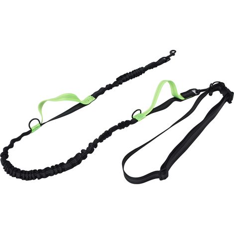 Laisse réfléchissante rétractable, portable et réglable pour chiens, verte (1/5)