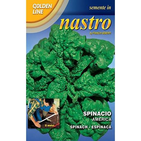 SEMI SPINACIO AMERICA FRANCHI SEMENTI