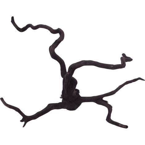 XL Black Spider Wurzel Nr.2676 Fingerwurzel Echtholz Deko Aquascaping
