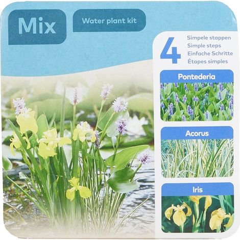 Bloomique - Lot de 3 Plantes de Bassin - Y compris anneau flottant - Pontederia - Acorus - Iris -