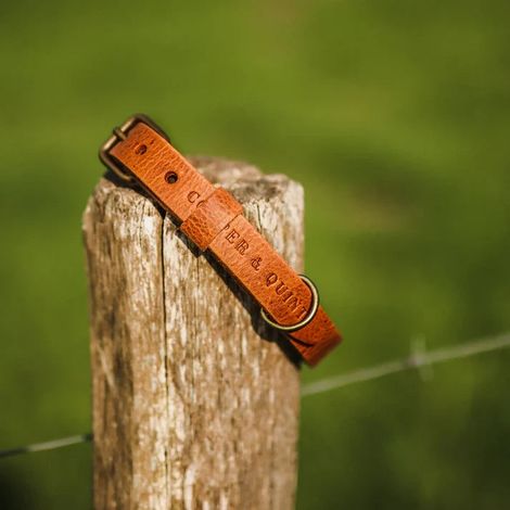 Collier pour Chien en Cuir Tanné Végétal Fait Main Fauve - Boucle Argentée Antirouille - PANGIVO