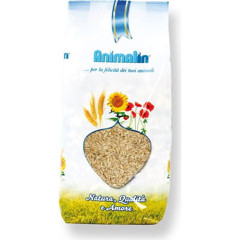 ALSO Seme di Avena Decorticata 800gr (1/3)