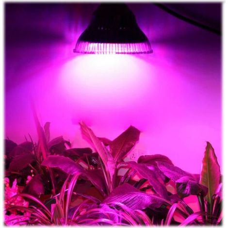 Ampoule PhytoLED Horticole - Bloom-Technologies - 54 Watts - Rouge et Bleu - Hydroponie - Indoor (1/4)