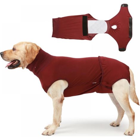 Combinaison De Récupération Pour Chien - Protection Post-Opératoire Et Période Physiologique - Avec Coussinet Absorbant Lavable - Tailles XXS À 3XL (1/5)