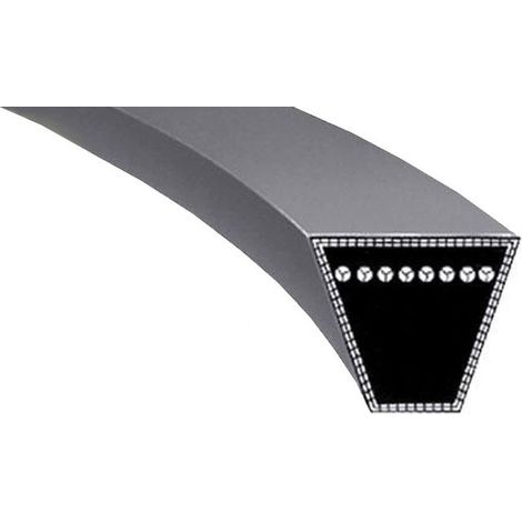 PASEK KLINOWY STANDARD B/S 1450 MM B17 - S3 B1450B17