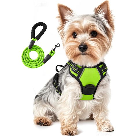 Ensemble harnais et laisse pour chiens de petite taille, réglables, réfléchissants, anti-traction pour animal domestique, pour la marche en plein air, le dressage - Vert fluo, taille S (1/5)