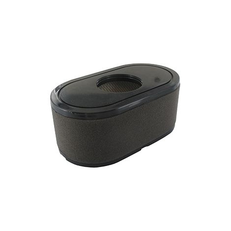 Filtro LONCIN 180100123-0001 1801001230001