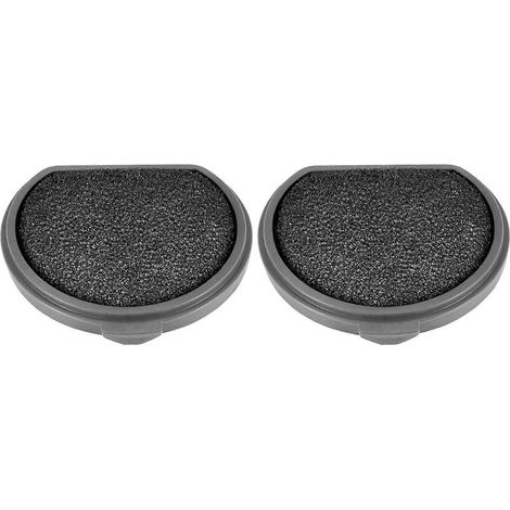 Lot de 2 filtres HEPA lavables pour AEG Electrolux QX9-1-50IB
