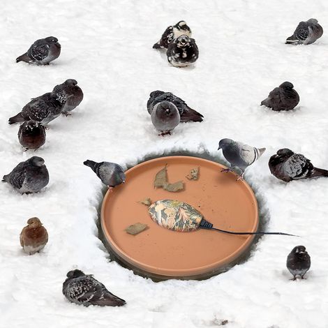 Chauffage pour bain d'oiseaux d'extérieur en hiver, avec dégivrage thermostatique pour terrasse, jardin et pelouse. (1/5)