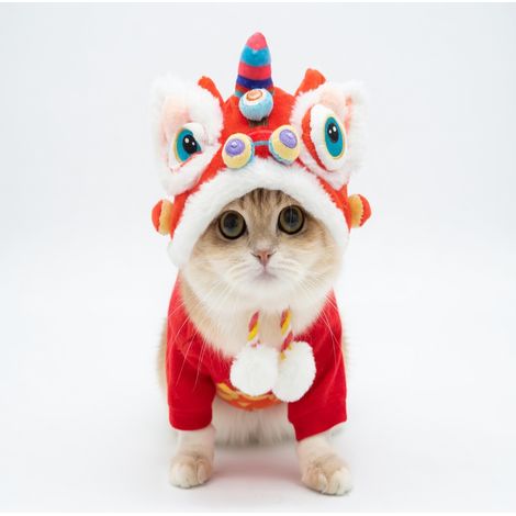 Chapeau pour animaux chapeau 15 kg modèle 2 (1/5)