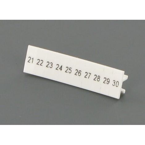 Codificaci贸n terminal 21-30 PHOENIX CONTACT ZB4LGS2130 21 30 (1/3)