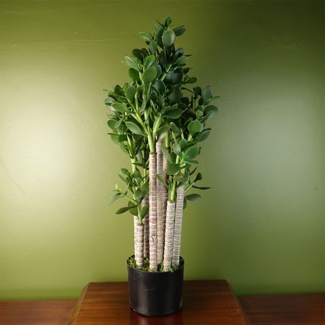 Artificial Deluxe 75cm Green Jade Plant (1/5)