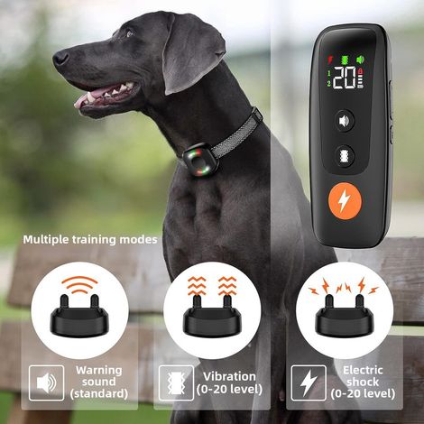 Collare per addestramento cani con telecomando, impermeabile IP68, 4 modalità: segnale acustico, vibrazione, luce, adatto a cani di tutte le taglie - ALTRO (1/3)