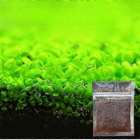Facile à cultiver des graines de plantes d’ornement d’aquarium pour la décoration de paysage d’aquarium (1/5)