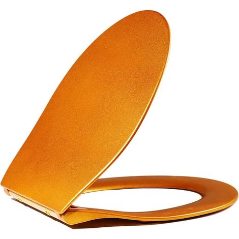 goldene Ein Knopf Toilettensitz ist langsam und hat keine