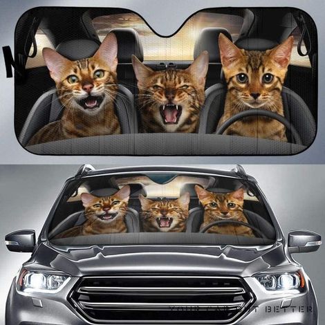 Pare-soleil pour pare-brise de voiture - Yeux chat verts et noirs