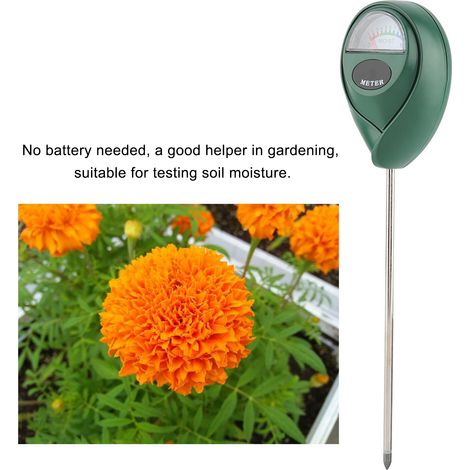 Testeur d'humidité du sol avec sonde pour plantes de jardin (1/5)