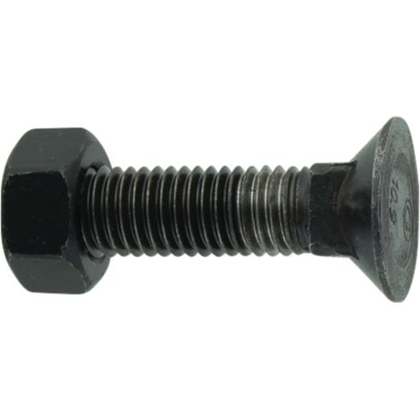 Boulon de charrue avec écrou M12x1,75x45 10,9 DIN 608
