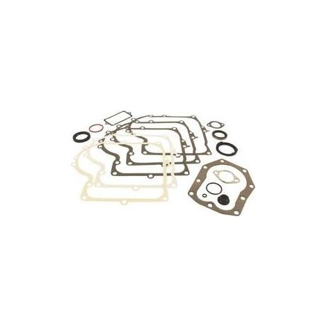 494241 - Pochette de joints pour moteur BRIGGS et STRATTON (1/2)
