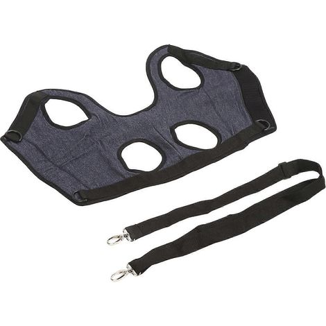 Harnais de transport professionnel respirant, confortable et réglable pour chiens âgés ou handicapés Joi (1/2)