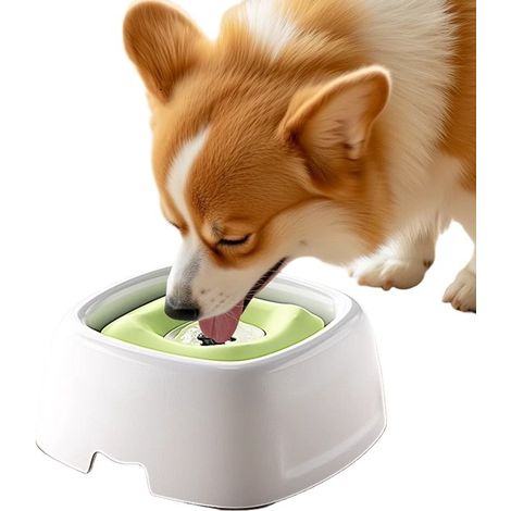 Gamelle anti-déversement pour chats et chiens, sans fuites ni gueule humide (verte 2L)-AquaForge (1/5)