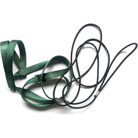 Perruche, Cockatiel, Conure - Corde d'entraînement anti-morsure réglable XL, vert.